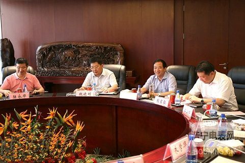 安慶市市長魏曉明等領導蒞臨林洋指導