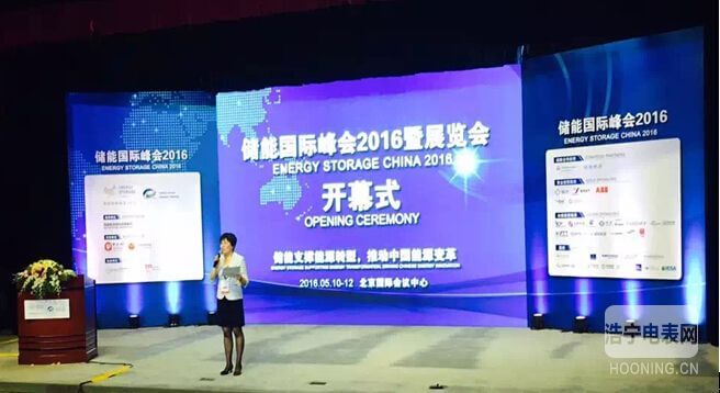 林洋能源亮相2016儲能國際峰會(huì)帶來儲能與微電網(wǎng)商業(yè)模式分析